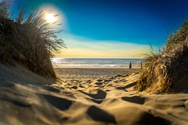 beach-8456325_1280