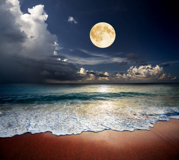 Sandy beach and moon at night