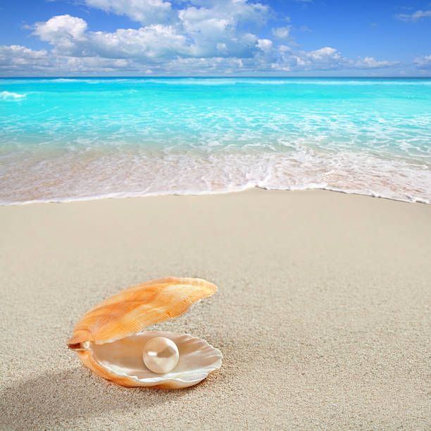 Caribbean pearl inside clam shell over white sand beach