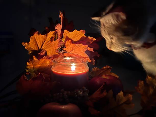 A candle glowing in the dark with a blurred, white cat sitting next to it