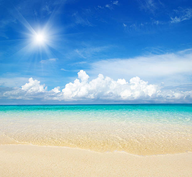 beautiful beach and tropical sea