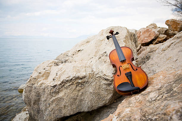 Red violin lest on rocks near the sea