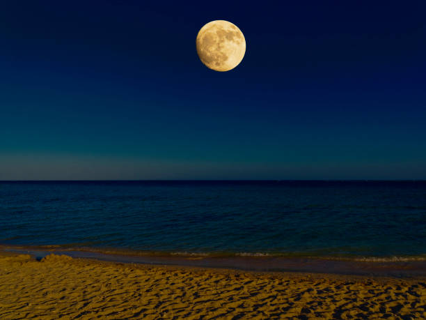 A large full moon rising over the Red Sea casting moonlight on the beach