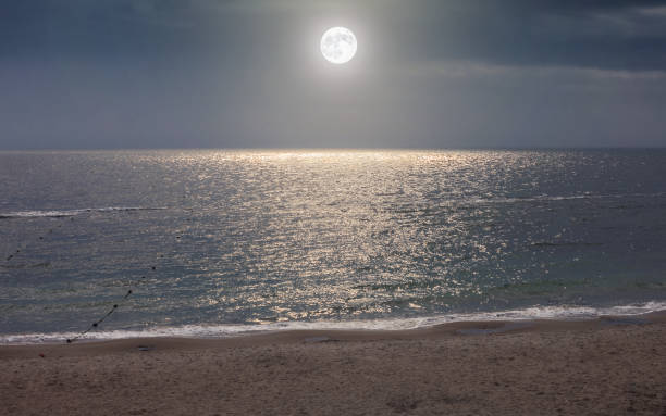 Moon in night sky over moonlight sea water. Travel background