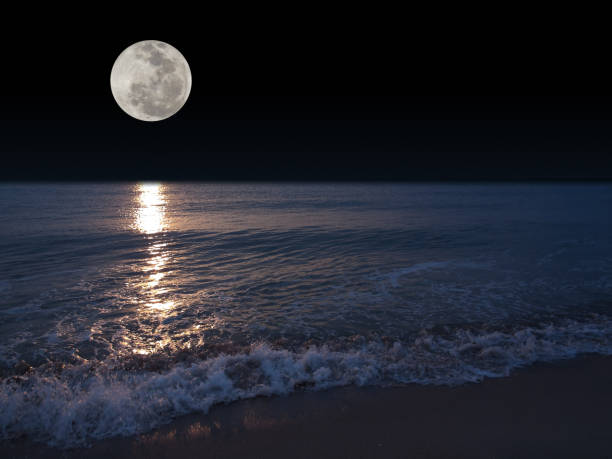 Romantic tropical beach with beautiful full moon