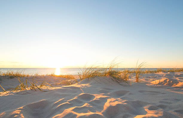 Beach by the Northsea