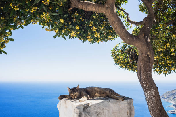 Beautiful village, Cyclades, Greece