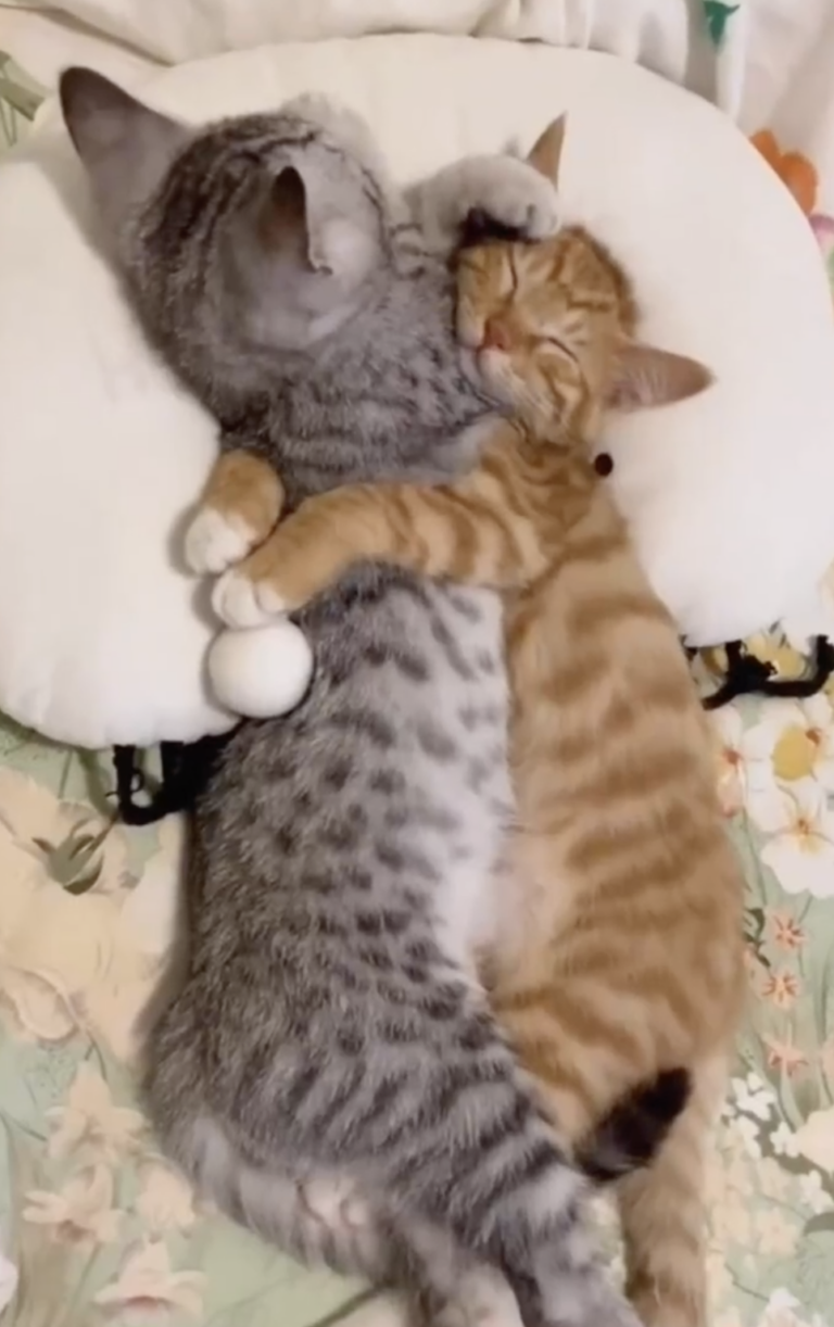 Screenshot 2024-12-24 at 22.38