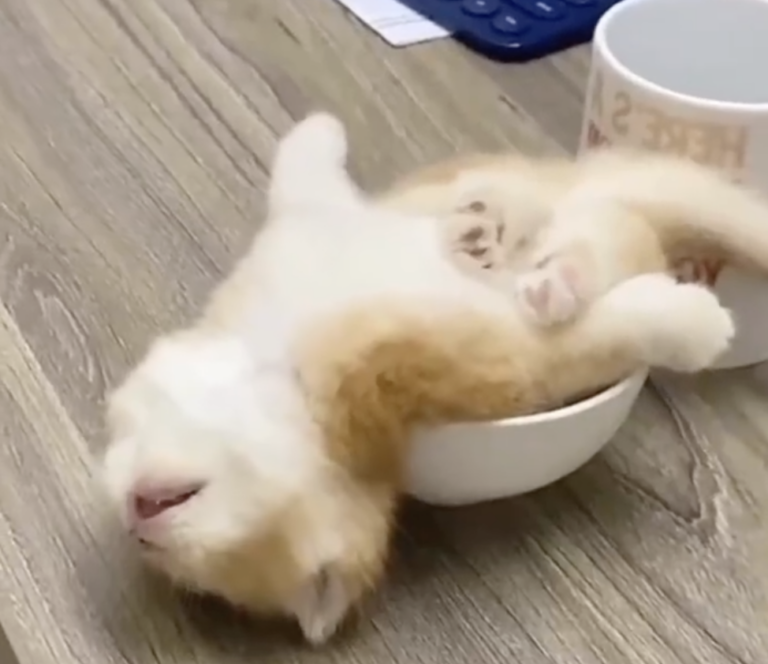 Screenshot 2024-12-24 at 22.40