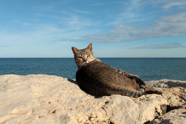 Taken in Denia, Spain