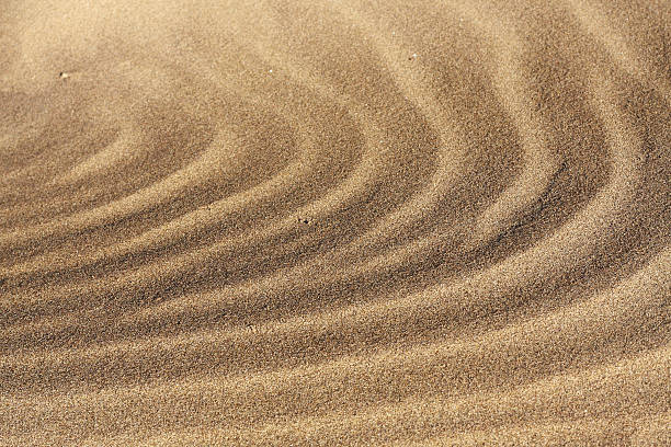 istockphoto-149211578-612x612