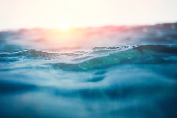 Sea waves at sunset. View from the water