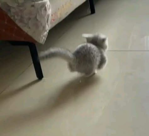 07d6b86b21739cb23c69feb327087b4b