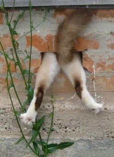 963685355507226ec48ef22b7d7b0922