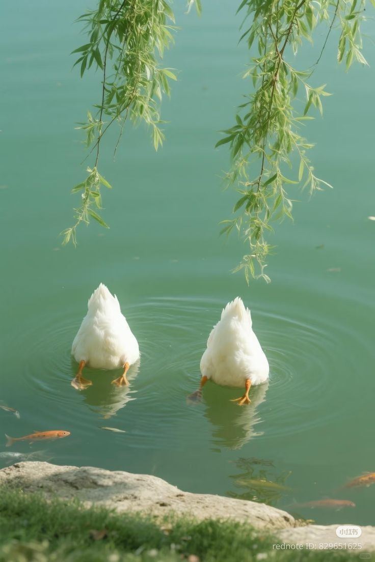 8270293dd24948f976e93c609fe71d0c