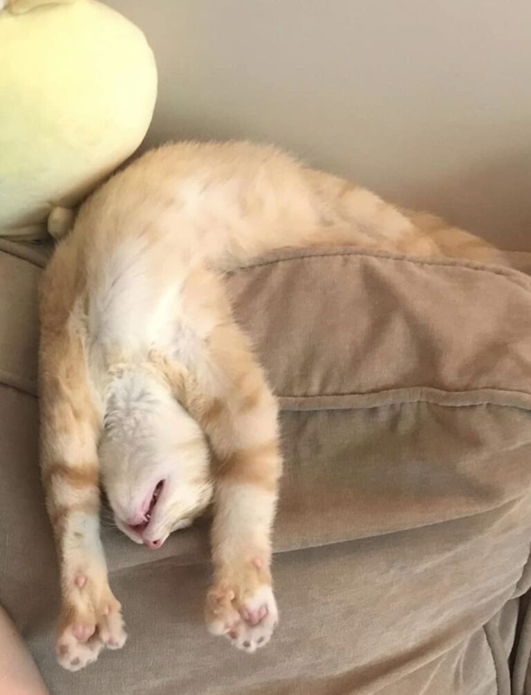 2dc292361b921e05f726421c9d9e9d14