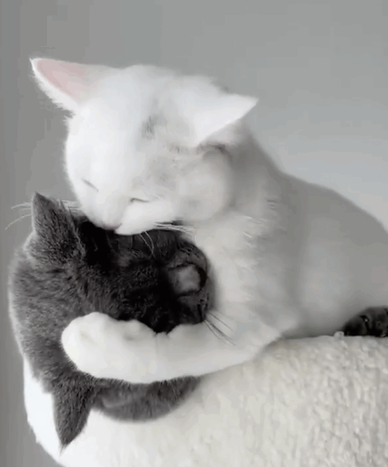 Screenshot 2025-11-13 at 16.44