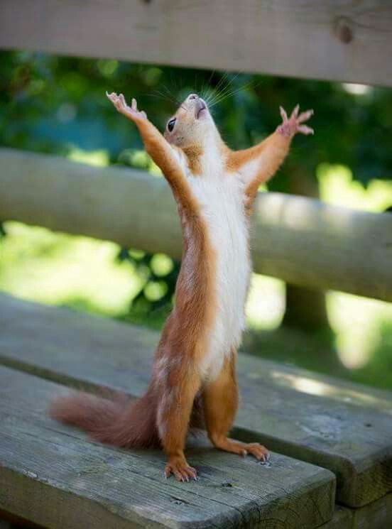 0a1f92533ae13d17b45771972ff7b880