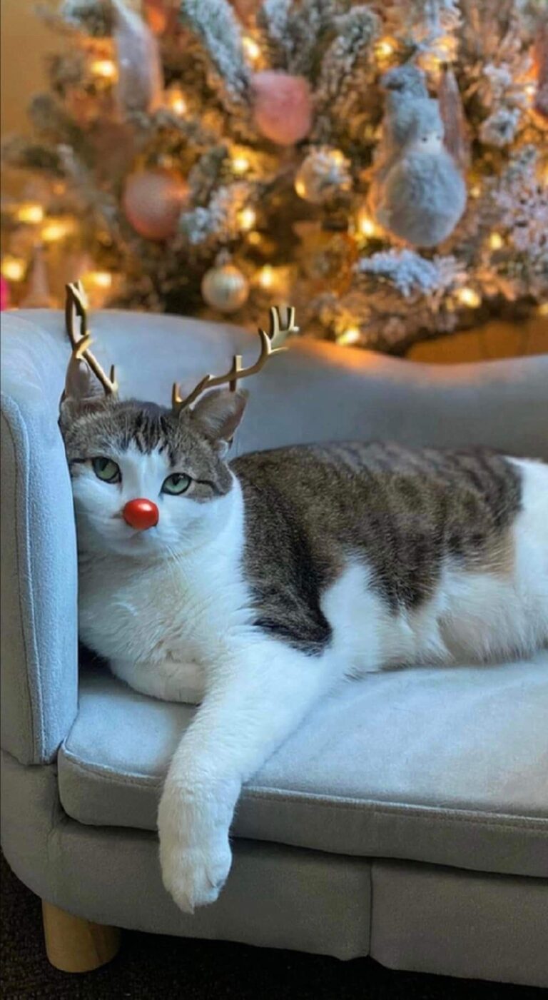 3d9cfac6e2c01d244b5b046d04112275