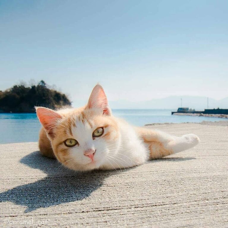 9e848d48914de4fe686b291b25ca8ab1