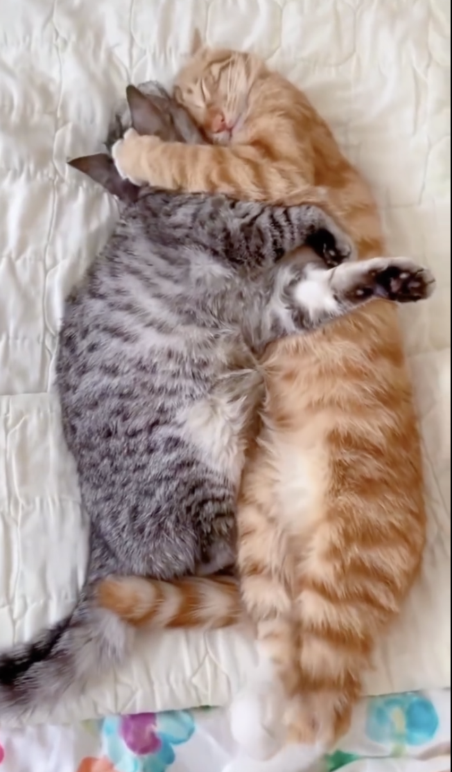 Screenshot 2025-12-17 at 18.43