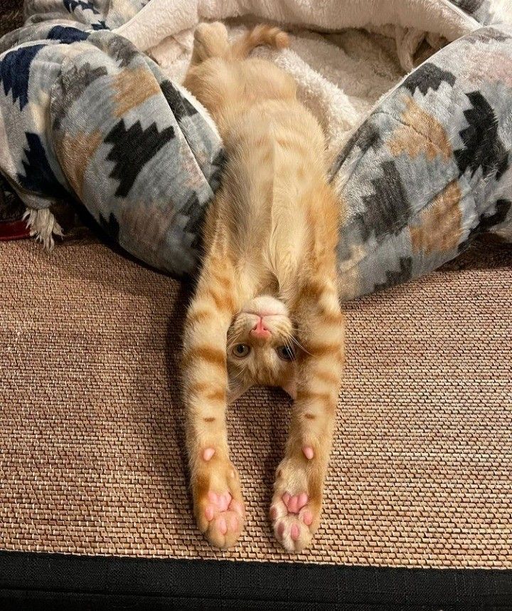 cb1924031d357e544a75f37077fbb1c4-2