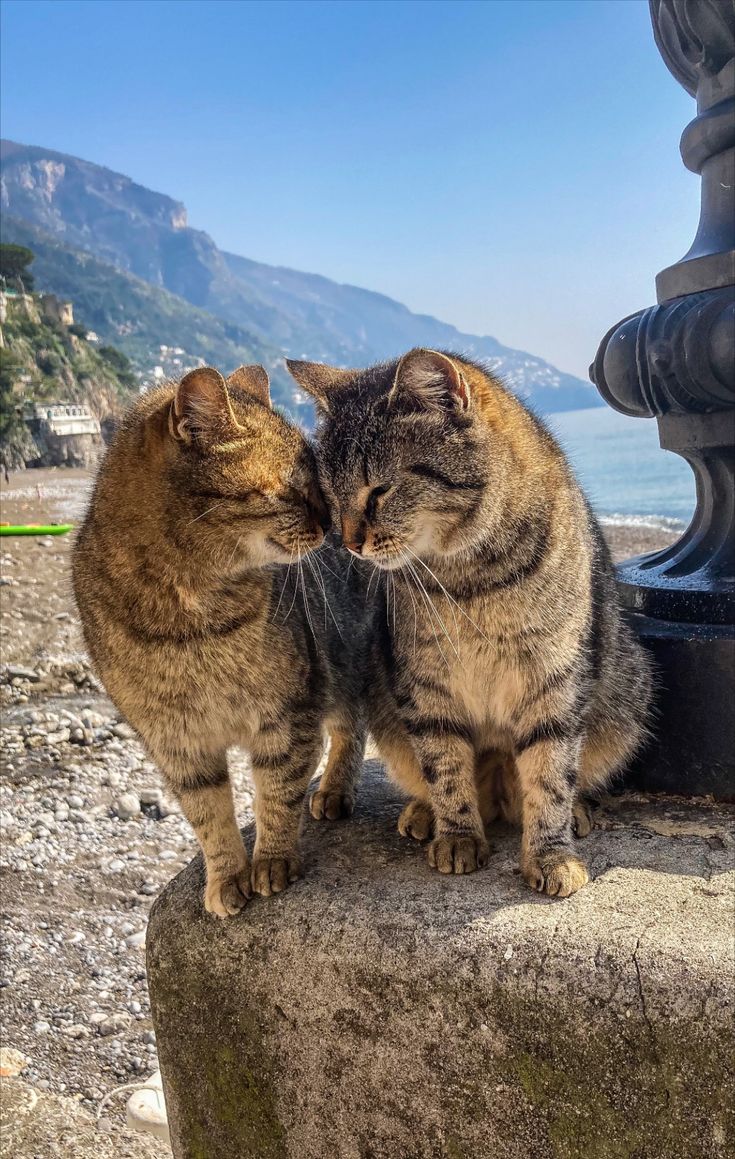 067ca74eab84a89710528d04741089b8-2