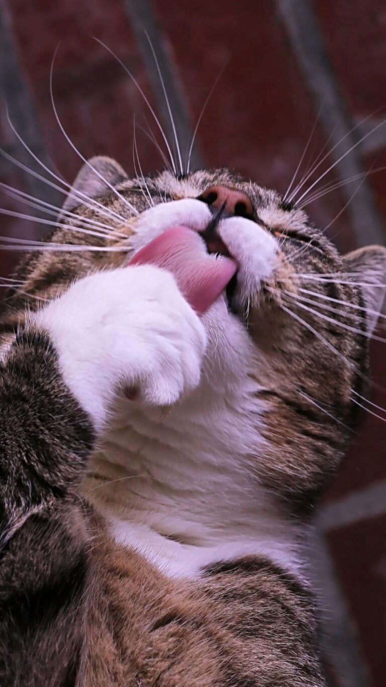 0bd166d870c60efd5214b52ba17a5b09