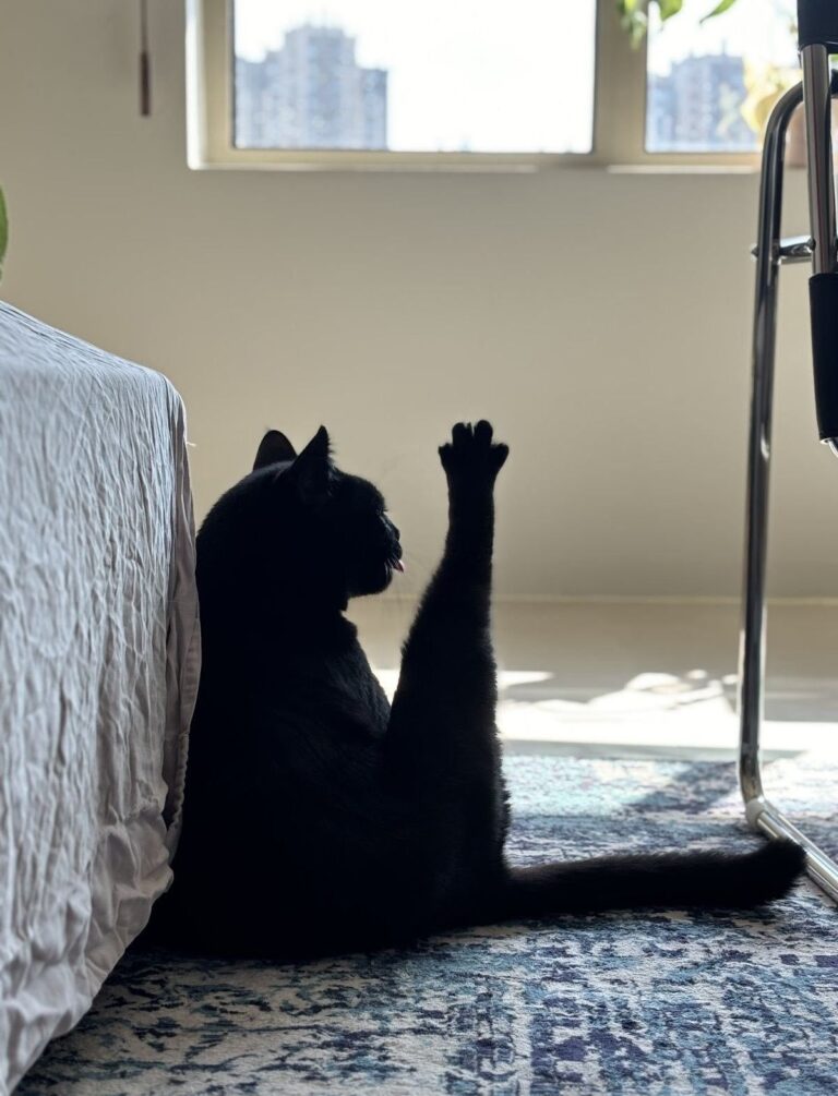 3075b1bbdff2d3f9116f4c1c4ddab29b