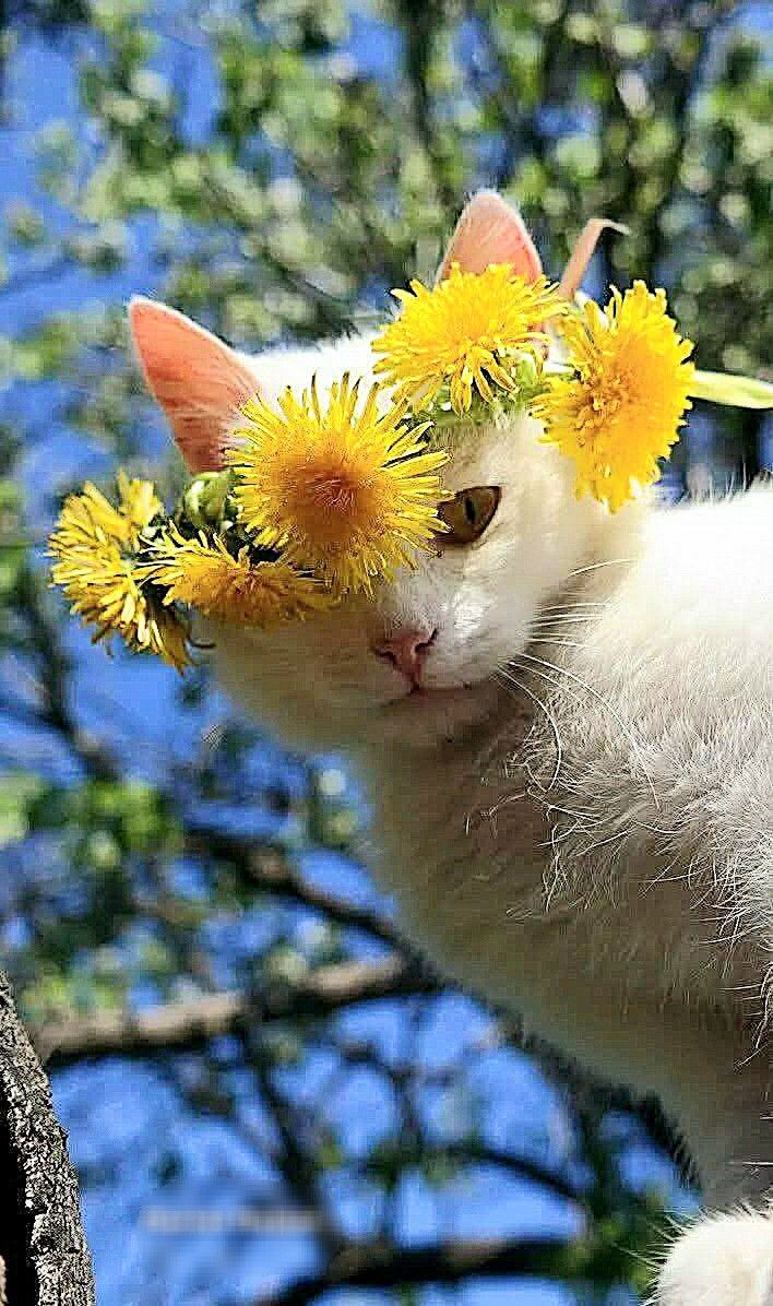 6c1480db63bf45f3eba8819bb5c38d19-2