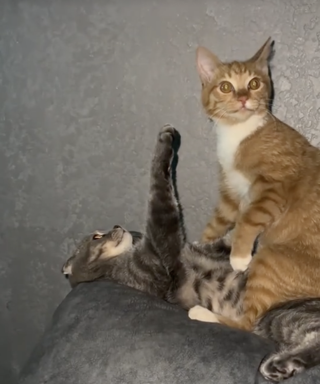 Screenshot 2026-01-11 at 20.54