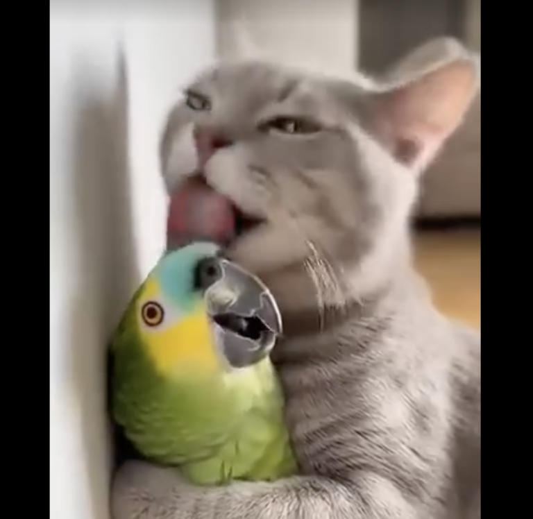 Screenshot 2026-01-25 at 12.30