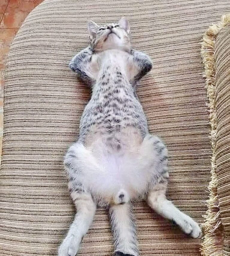 afd3d245a83c29c409fbc248ef89d9a0