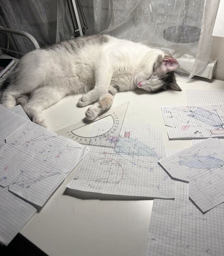 b9ada337e9519fe6f141763a27448737