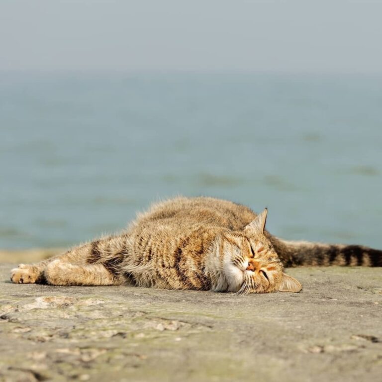 c37f22b59bc3422b602375bd135a5619