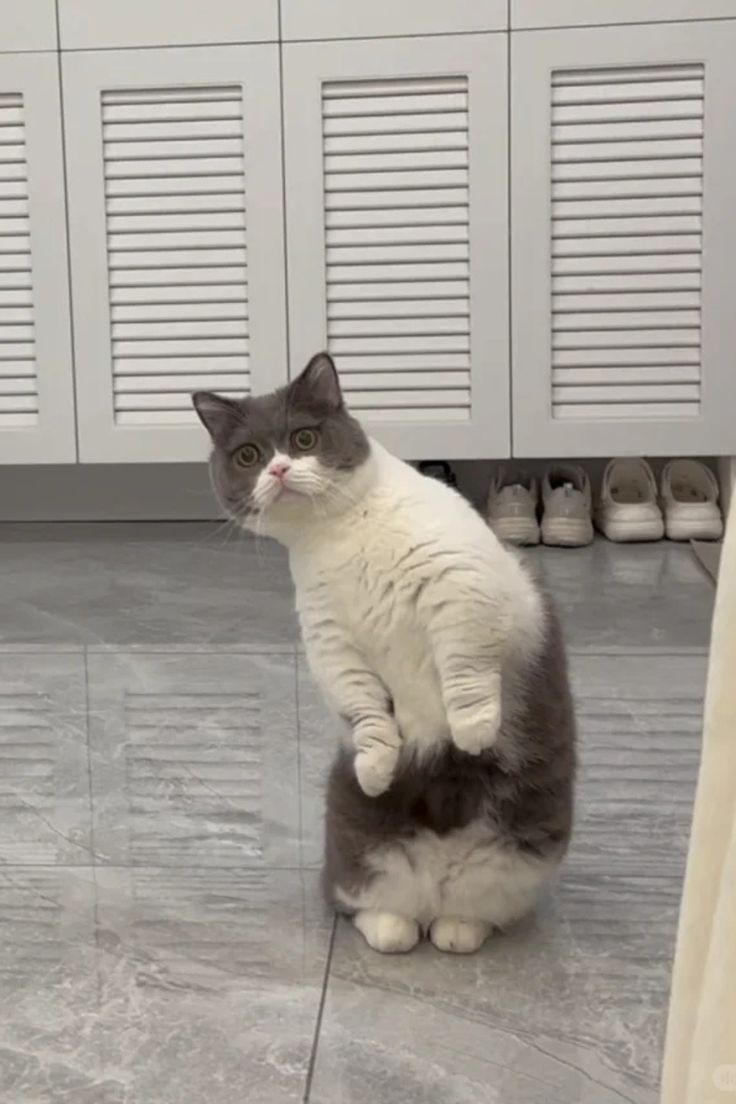 c3ed9606c5c03beb94263a4efeab3c4a