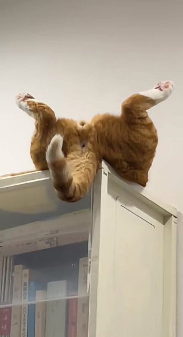 cd7878a5cfe759c1e7f3b1617466a269