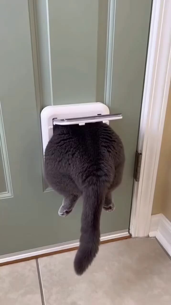 18664b38252c5a31f5ccfe37b379d0c6