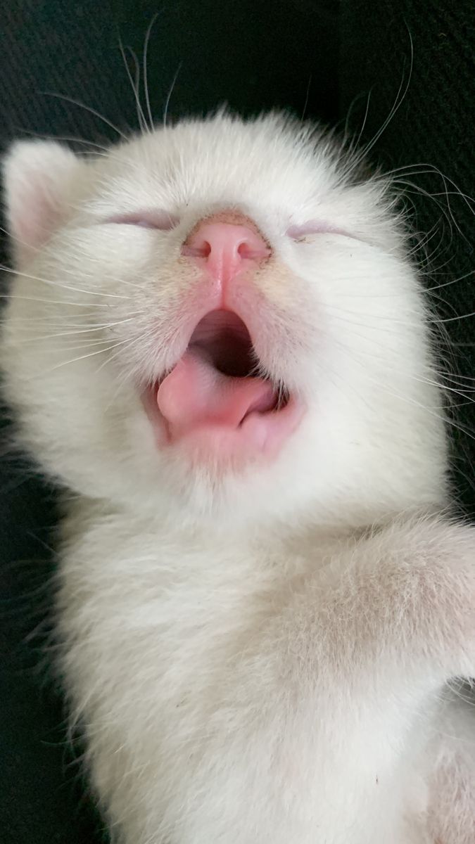 1906188681c216fa133bd90dc7567557