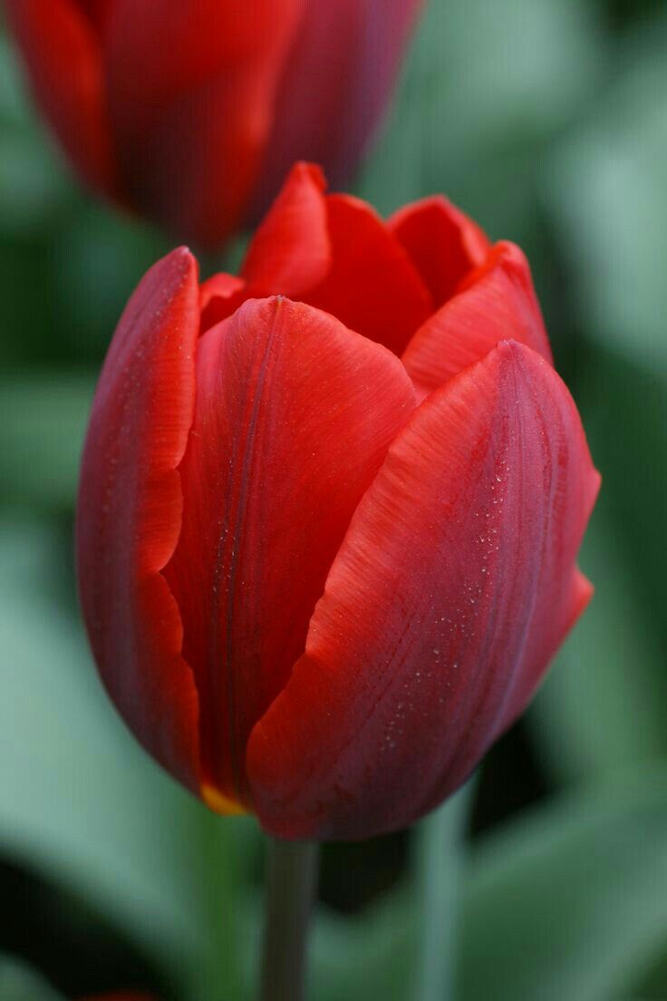 276907db00a70c013299566fdb6be46a