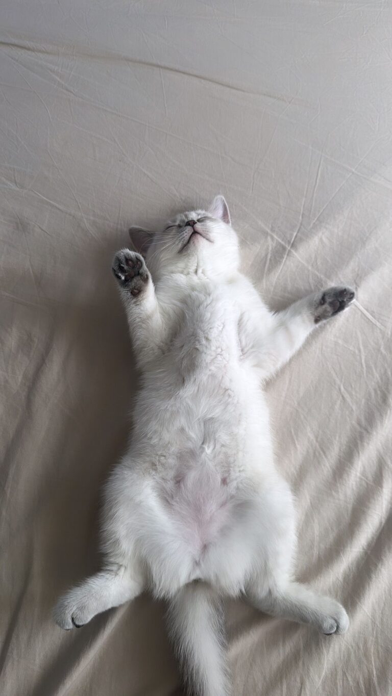 621ab54d45cff28f03b78917df3fa509