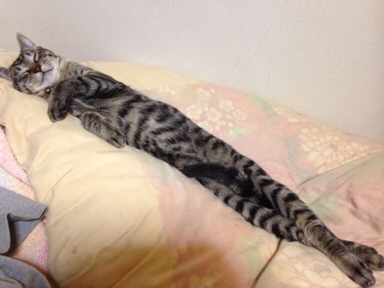 665feeee731f7f8a659c4bf04dd8d974