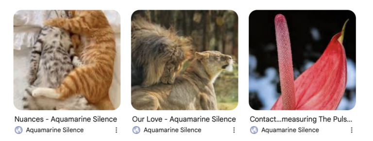 Screenshot 2026-02-24 at 18.55