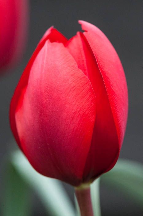 dd8298c3ba043da92e7444df134fcc6c