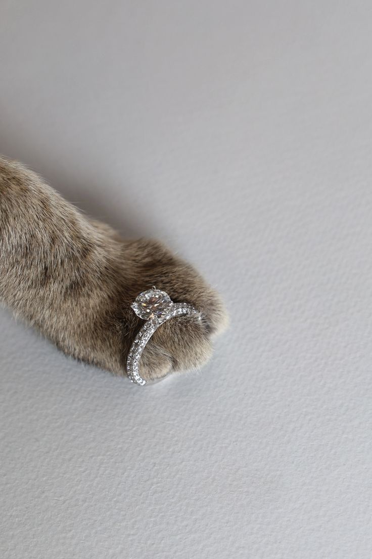 6b450c57079630f72862135268f42637-2