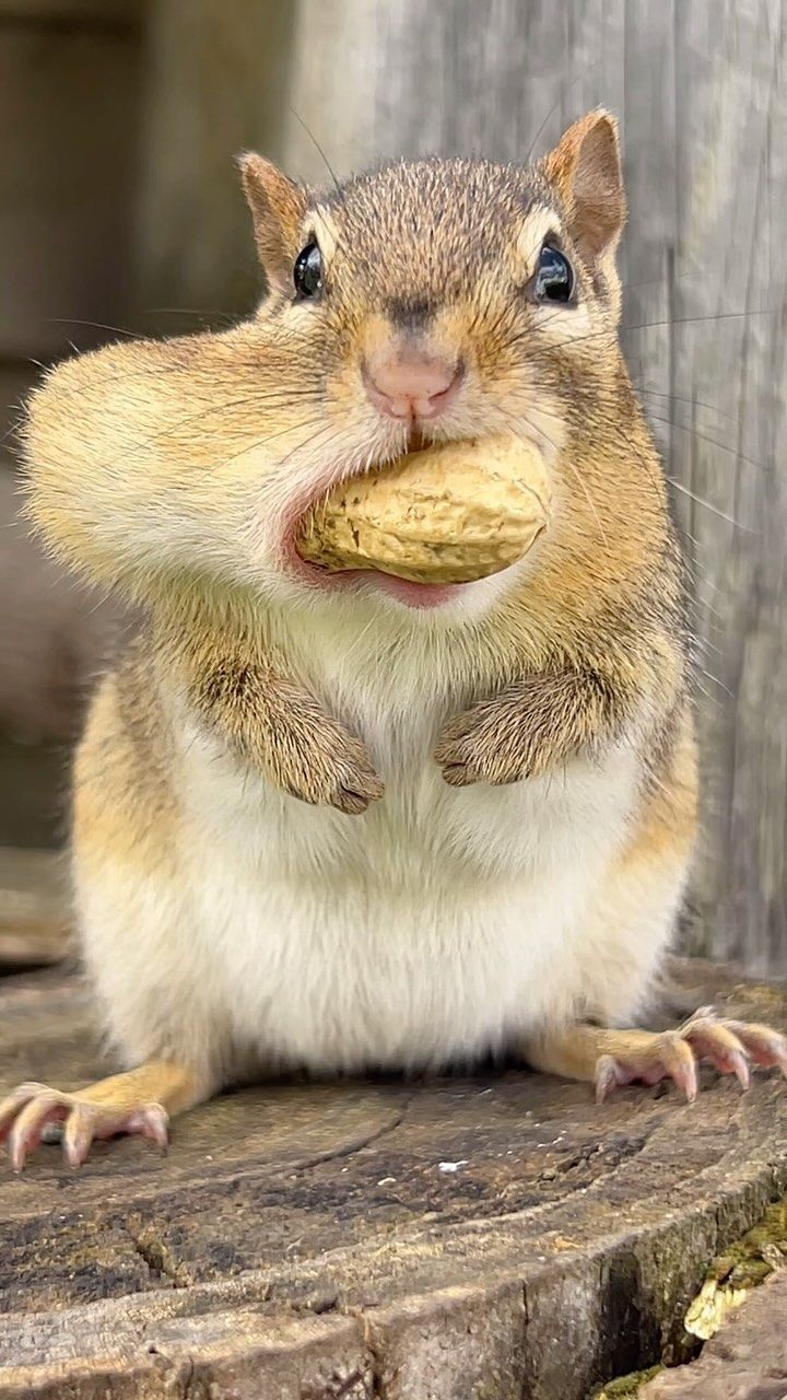 7322c205077e8db3a8100c4df323b021