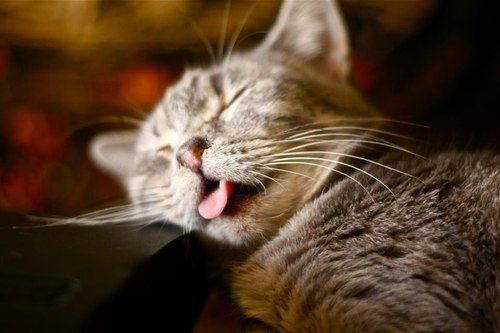 7d68f2ba3114bb8abe2bc50610b9df14