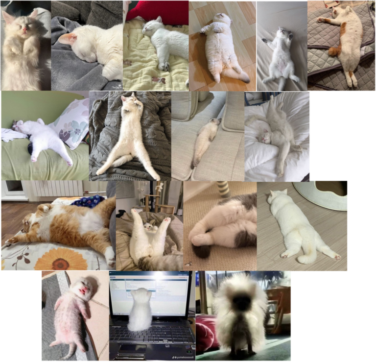 Gemini's nocturnal involution