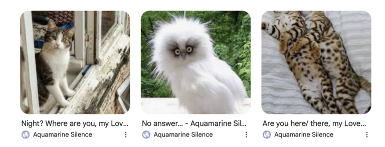 Screenshot 2026-03-04 at 21.02