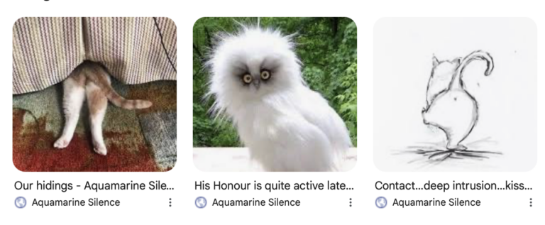 Screenshot 2026-03-06 at 20.13